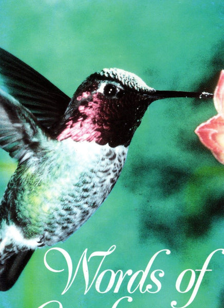 "Words of Comfort" by SGM International